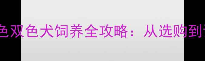 图片 🐾拉布拉多黑色白色双色犬饲养全攻略：从选购到训练的保姆级指南2