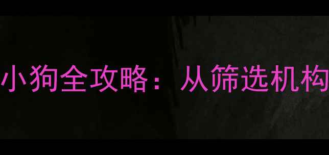 图片 🐾救助代替购买！领养小猫小狗全攻略：从筛选机构到终身养护的保姆级指南🐱