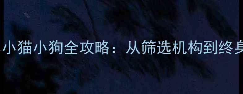 图片 🐾救助代替购买！领养小猫小狗全攻略：从筛选机构到终身养护的保姆级指南🐱1