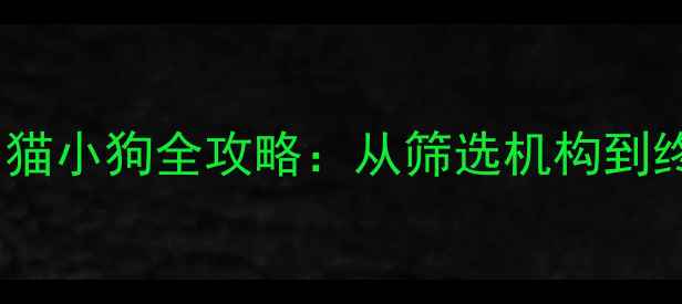 图片 🐾救助代替购买！领养小猫小狗全攻略：从筛选机构到终身养护的保姆级指南🐱2