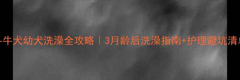 图片 🐾斗牛犬幼犬洗澡全攻略｜3月龄后洗澡指南+护理避坑清单🌈