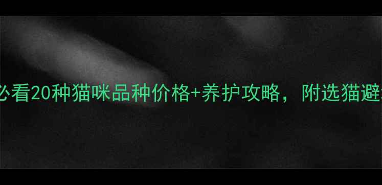 图片 🐾新手必看20种猫咪品种价格+养护攻略，附选猫避坑指南1