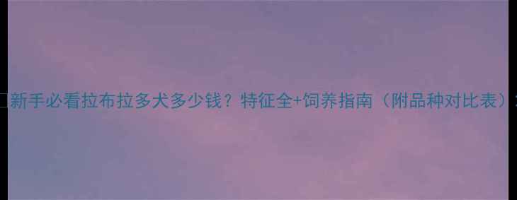 图片 🐾新手必看拉布拉多犬多少钱？特征全+饲养指南（附品种对比表）2