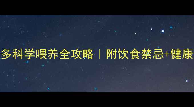 图片 🐾新手必看拉布拉多科学喂养全攻略｜附饮食禁忌+健康隐患+训练秘籍🐕2