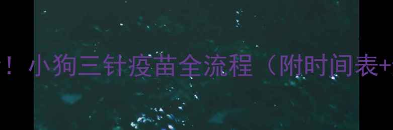 图片 🐾新手必看！小狗三针疫苗全流程（附时间表+避坑指南）