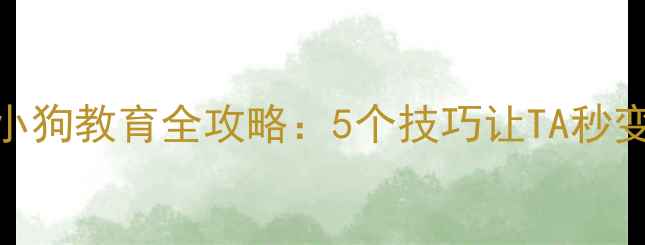 图片 🐾新手必看！小狗教育全攻略：5个技巧让TA秒变乖巧小天使🐶