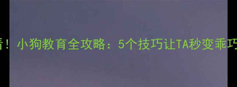 图片 🐾新手必看！小狗教育全攻略：5个技巧让TA秒变乖巧小天使🐶1