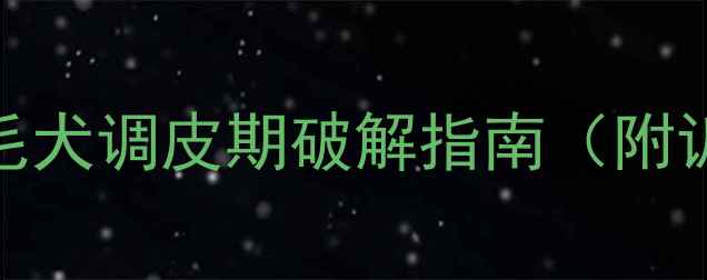 图片 🐾新手必看！金毛犬调皮期破解指南（附训犬师私藏清单）