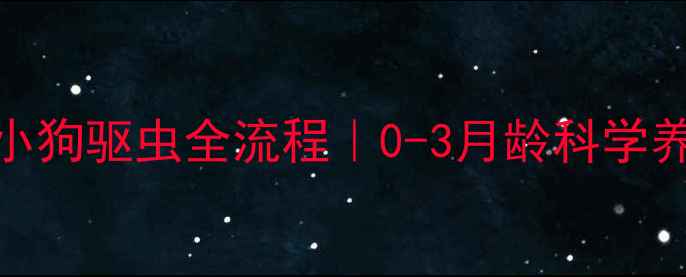 图片 🐾新生儿小狗驱虫全流程｜0-3月龄科学养护指南💉