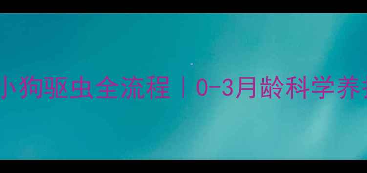 图片 🐾新生儿小狗驱虫全流程｜0-3月龄科学养护指南💉2