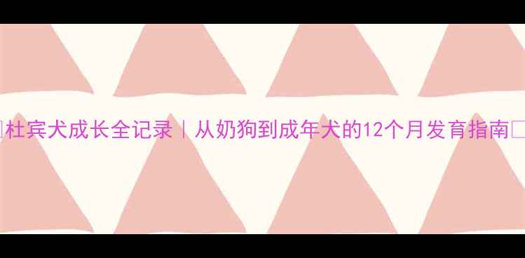 图片 🐾杜宾犬成长全记录｜从奶狗到成年犬的12个月发育指南🐾2