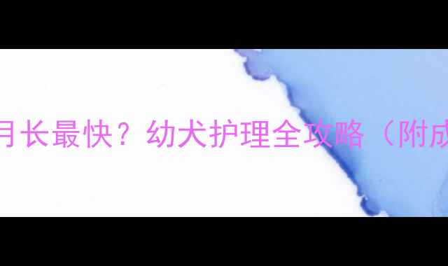 图片 🐾比熊犬几个月长最快？幼犬护理全攻略（附成长时间表）🐾