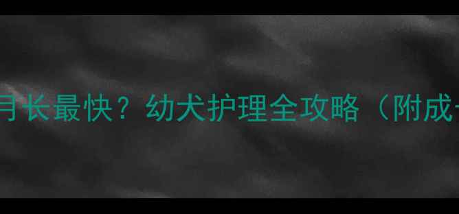 图片 🐾比熊犬几个月长最快？幼犬护理全攻略（附成长时间表）🐾2
