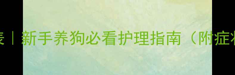 图片 🐾比熊犬发情时间表｜新手养狗必看护理指南（附症状识别+科学应对）2