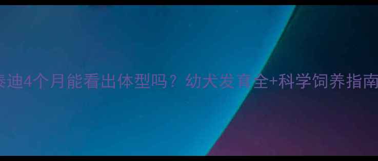 图片 🐾泰迪4个月能看出体型吗？幼犬发育全+科学饲养指南🐶2