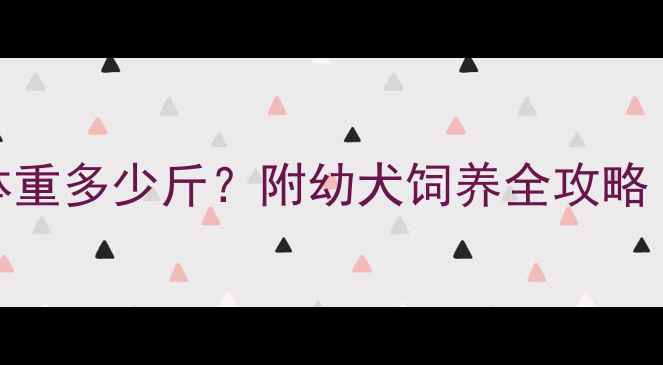 图片 🐾泰迪五个月大体重多少斤？附幼犬饲养全攻略（附体重对照表）