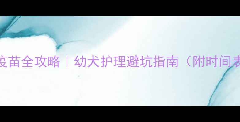 图片 🐾泰迪剃毛打疫苗全攻略｜幼犬护理避坑指南（附时间表+注意事项）2