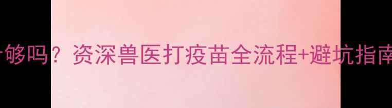 图片 🐾泰迪幼犬疫苗两针够吗？资深兽医打疫苗全流程+避坑指南（附接种记录表）1