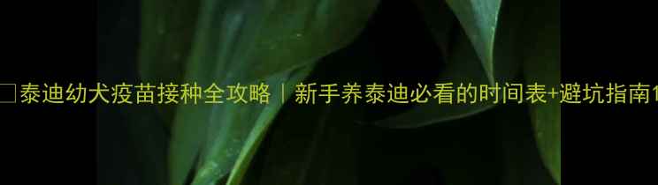 图片 🐾泰迪幼犬疫苗接种全攻略｜新手养泰迪必看的时间表+避坑指南1