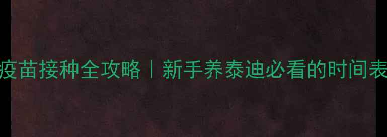 图片 🐾泰迪幼犬疫苗接种全攻略｜新手养泰迪必看的时间表+避坑指南2