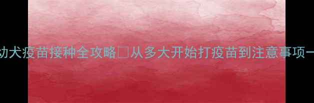 图片 🐾泰迪幼犬疫苗接种全攻略🐾从多大开始打疫苗到注意事项一篇说清