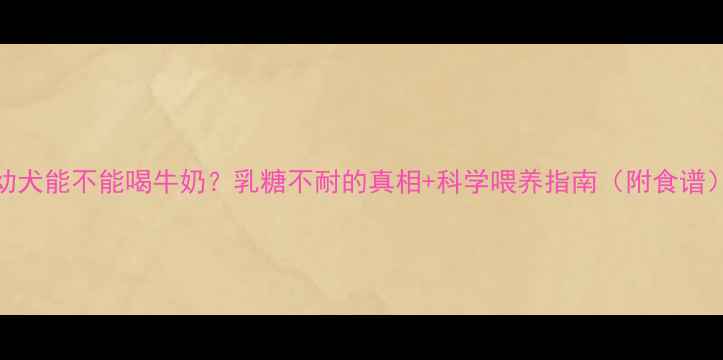 图片 🐾泰迪幼犬能不能喝牛奶？乳糖不耐的真相+科学喂养指南（附食谱）⚠️🥛