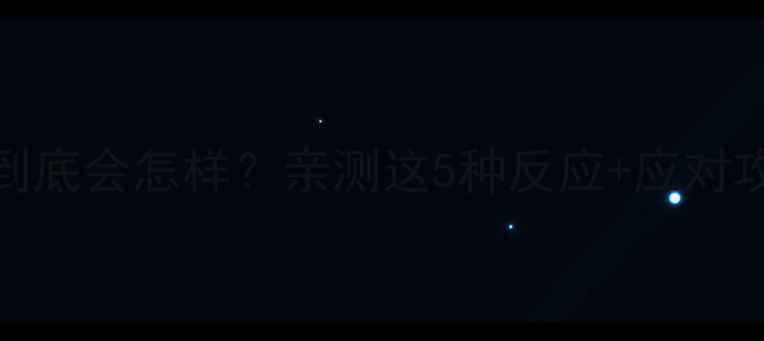 图片 🐾泰迪换主人后到底会怎样？亲测这5种反应+应对攻略，新手必看！