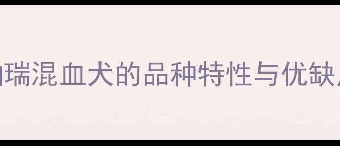图片 🐾泰迪犬×雪纳瑞：泰纳瑞混血犬的品种特性与优缺点分析（附养护指南）🐾