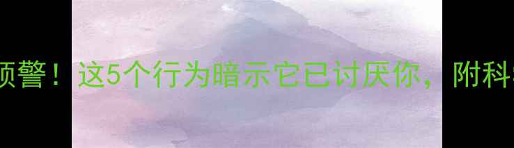 图片 🐾泰迪犬情绪预警！这5个行为暗示它已讨厌你，附科学纠正指南🐾1
