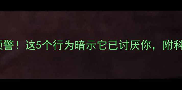 图片 🐾泰迪犬情绪预警！这5个行为暗示它已讨厌你，附科学纠正指南🐾2