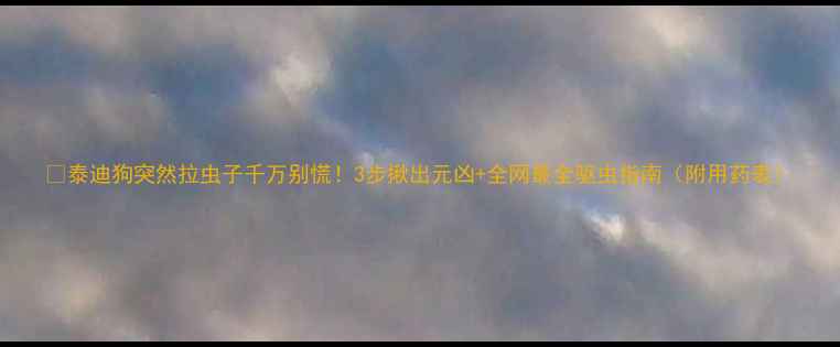 图片 🐾泰迪狗突然拉虫子千万别慌！3步揪出元凶+全网最全驱虫指南（附用药表）