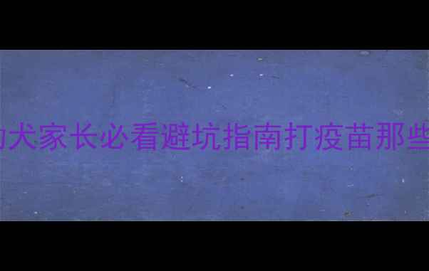 图片 🐾泰迪疫苗全攻略｜幼犬家长必看避坑指南打疫苗那些事+超详细流程图解📅