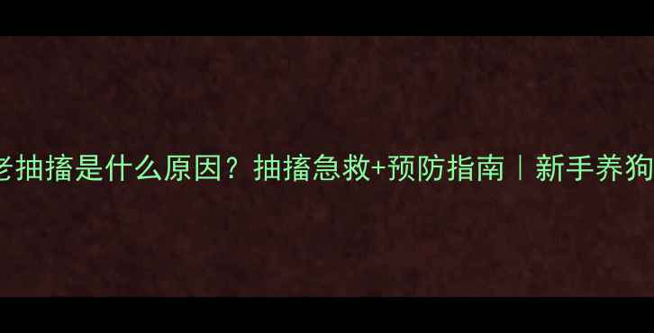 图片 🐾泰迪老抽搐是什么原因？抽搐急救+预防指南｜新手养狗必看！1