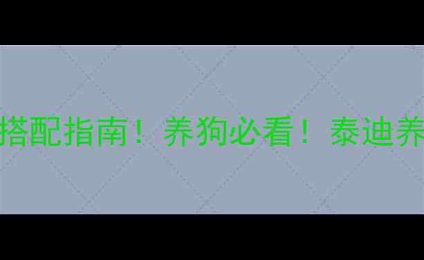 图片 🐾泰迪能喝白粥吗？全攻略+营养搭配指南！养狗必看！泰迪养宠指南狗狗饮食禁忌宠物营养学2