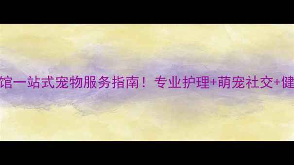 图片 🐾派多格宠物生活会馆一站式宠物服务指南！专业护理+萌宠社交+健康管家，养宠必备！