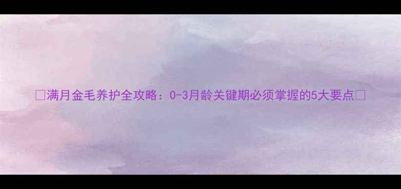 图片 🐾满月金毛养护全攻略：0-3月龄关键期必须掌握的5大要点🐾