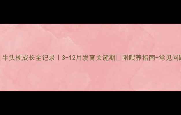 图片 🐾牛头梗成长全记录｜3-12月发育关键期📆附喂养指南+常见问题