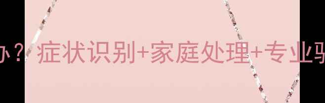 图片 🐾狗狗体内有虫怎么办？症状识别+家庭处理+专业驱虫全攻略｜养宠必看