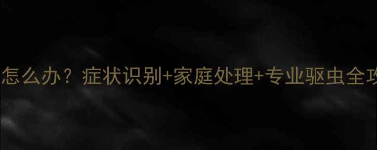 图片 🐾狗狗体内有虫怎么办？症状识别+家庭处理+专业驱虫全攻略｜养宠必看1