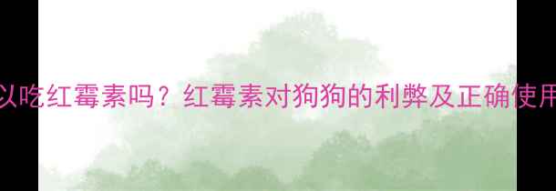 图片 🐾狗狗可以吃红霉素吗？红霉素对狗狗的利弊及正确使用指南🐶🩺