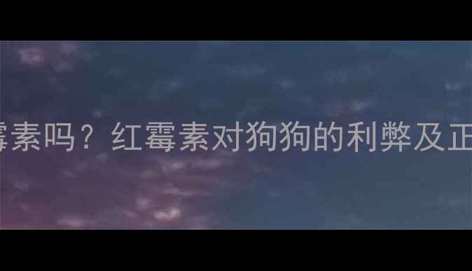 图片 🐾狗狗可以吃红霉素吗？红霉素对狗狗的利弊及正确使用指南🐶🩺2