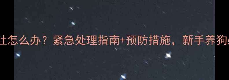 图片 🐾狗狗呕吐怎么办？紧急处理指南+预防措施，新手养狗必看！💊1