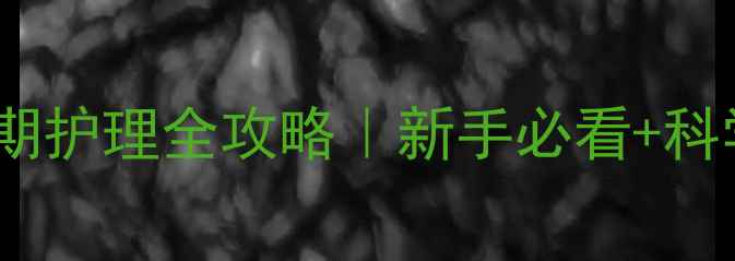 图片 🐾狗狗喂奶黄金期护理全攻略｜新手必看+科学喂养误区⚠️2