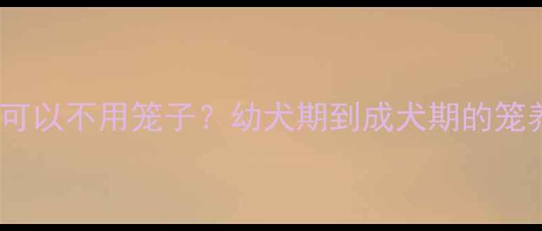 图片 🐾狗狗多大可以不用笼子？幼犬期到成犬期的笼养全攻略🐾1