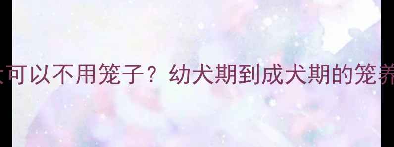 图片 🐾狗狗多大可以不用笼子？幼犬期到成犬期的笼养全攻略🐾2