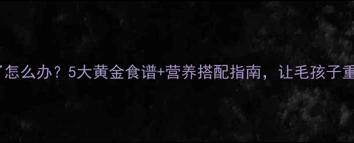 图片 🐾狗狗太瘦了怎么办？5大黄金食谱+营养搭配指南，让毛孩子重获活力！🐾1