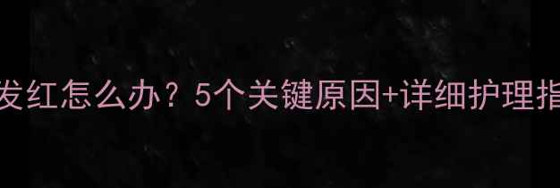 图片 🐾狗狗奶头发红怎么办？5个关键原因+详细护理指南（附图）