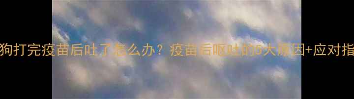 图片 🐾狗狗打完疫苗后吐了怎么办？疫苗后呕吐的5大原因+应对指南💉