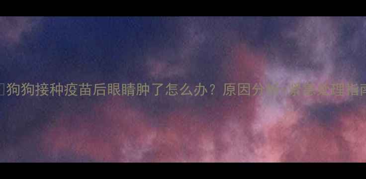图片 🐾狗狗接种疫苗后眼睛肿了怎么办？原因分析+紧急处理指南