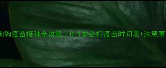 图片 🐾狗狗疫苗接种全攻略｜0-1岁必打疫苗时间表+注意事项1